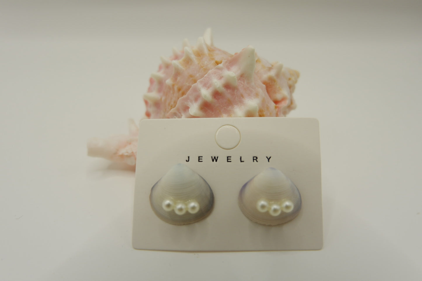Conch Shell Stud Earrings
