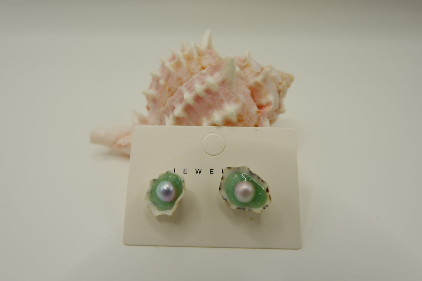 Conch Shell Stud Earrings