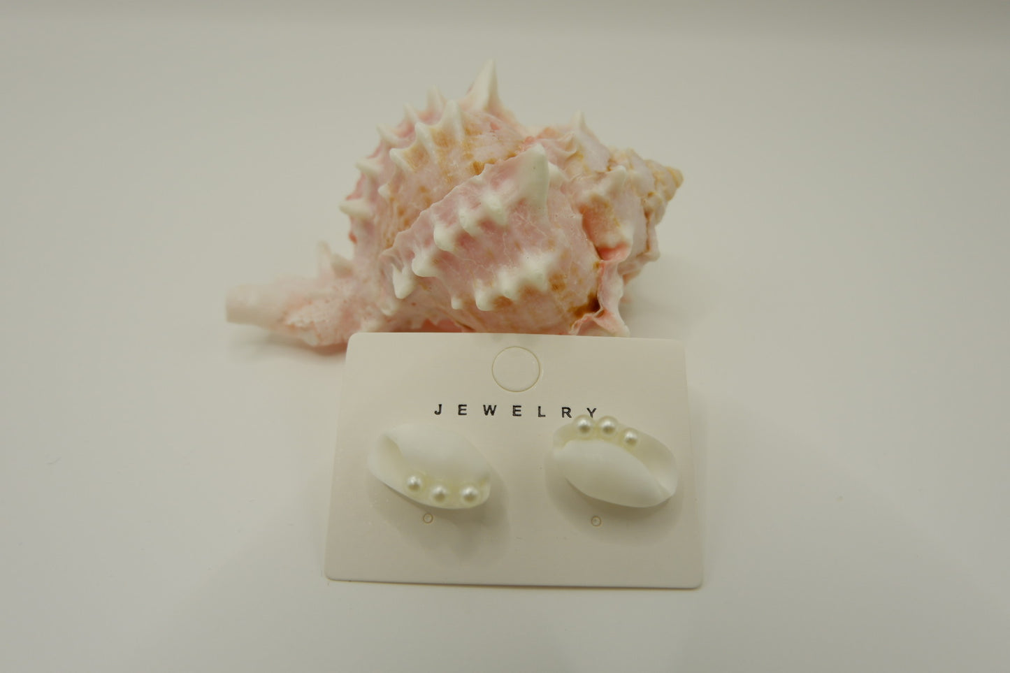 Conch Shell Stud Earrings