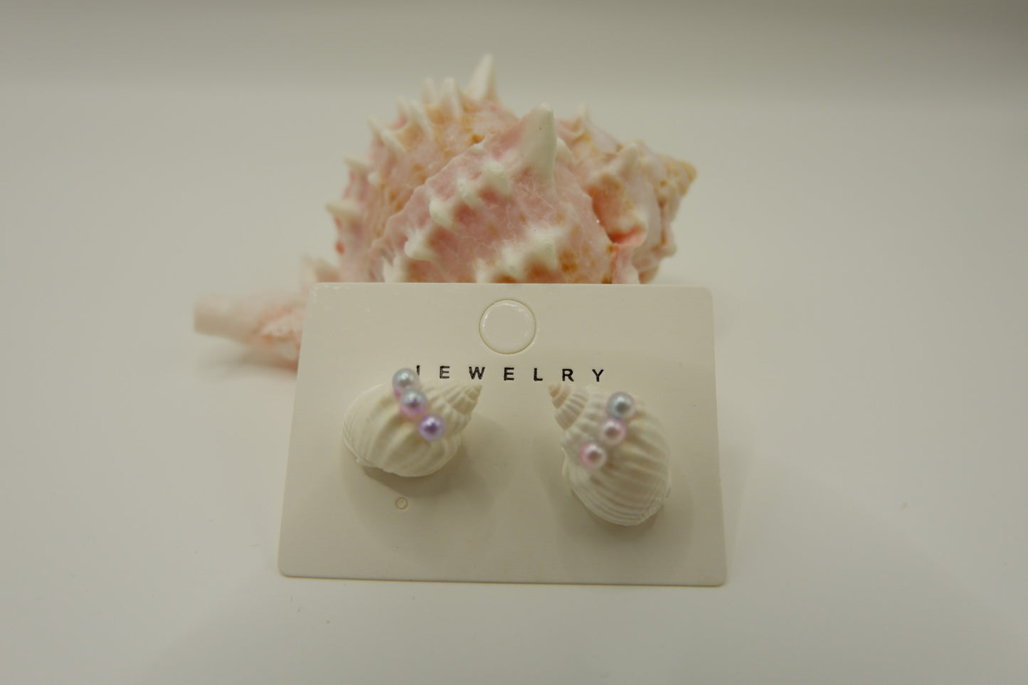 Conch Shell Stud Earrings