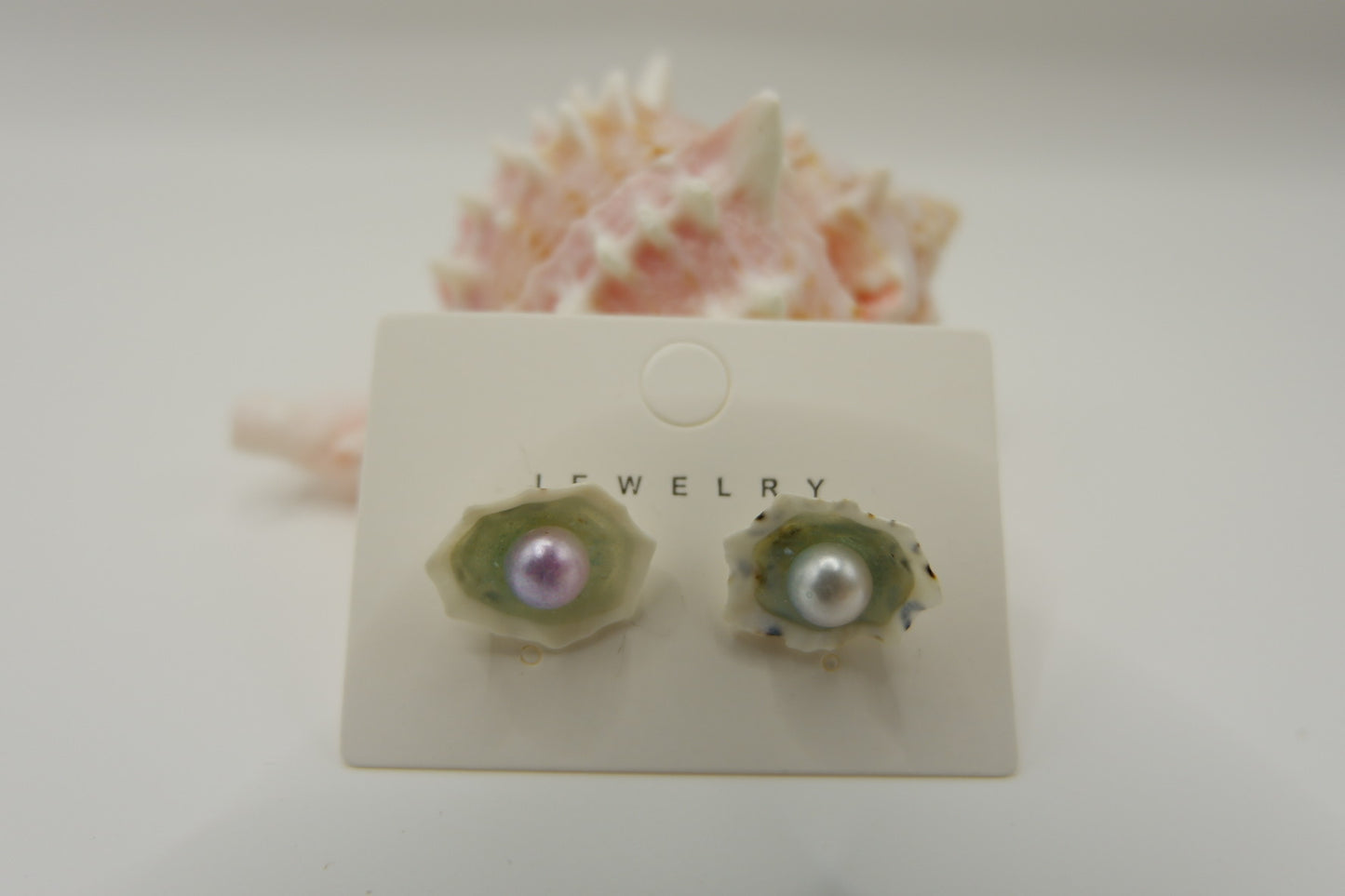 Conch Shell Stud Earrings