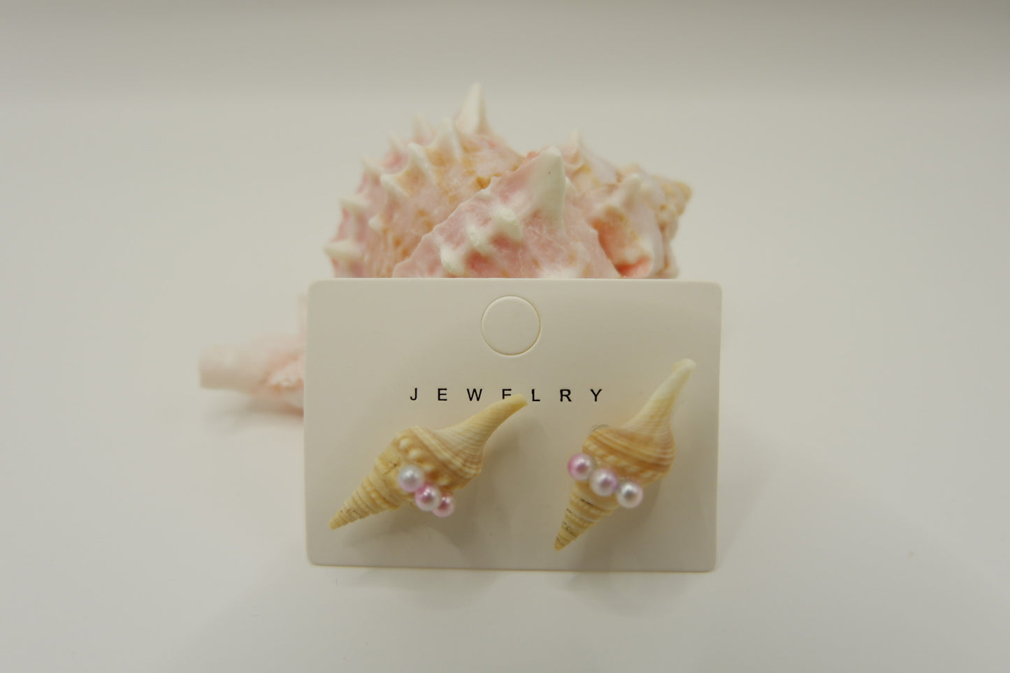 Conch Shell Stud Earrings