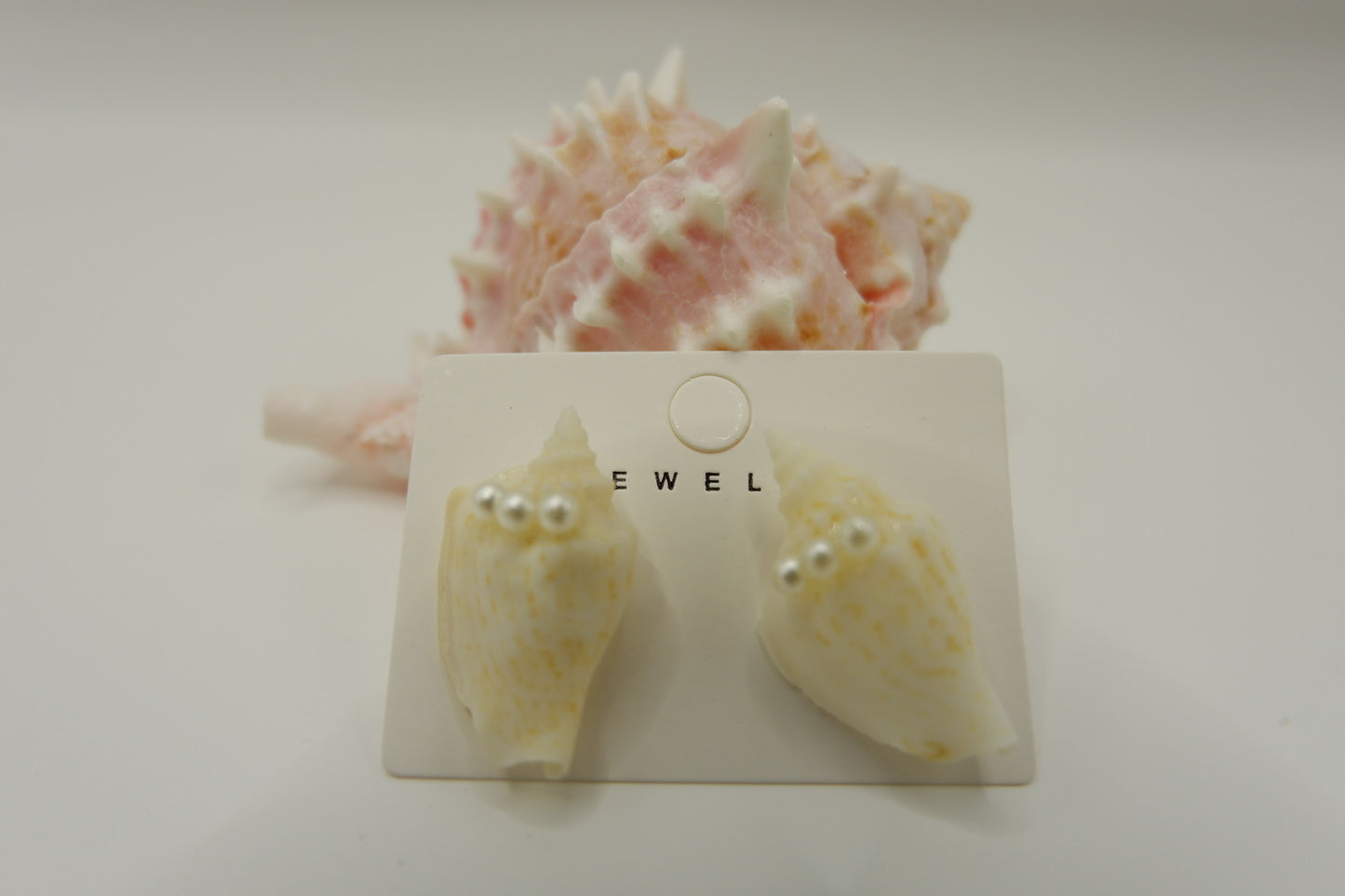 Conch Shell Stud Earrings