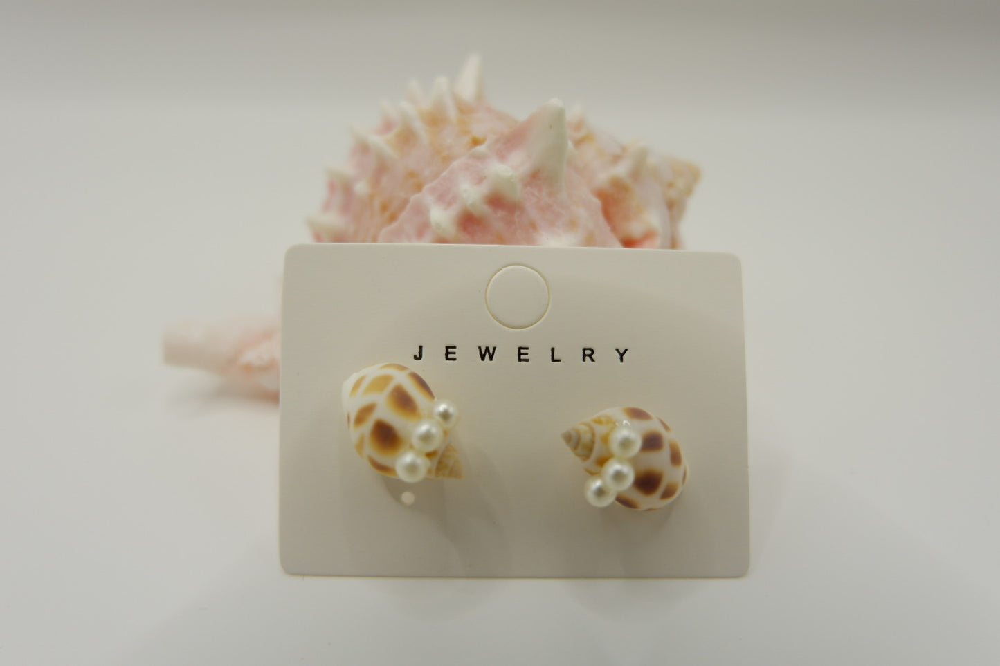 Conch Shell Stud Earrings