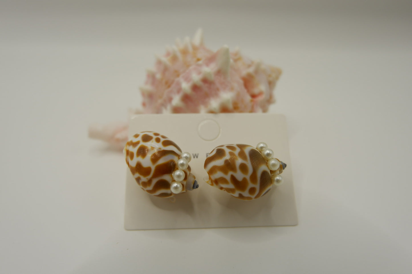 Conch Shell Stud Earrings