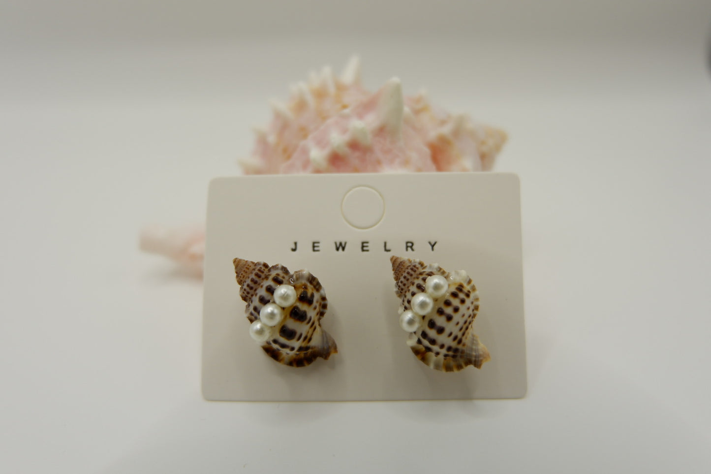 Conch Shell Stud Earrings