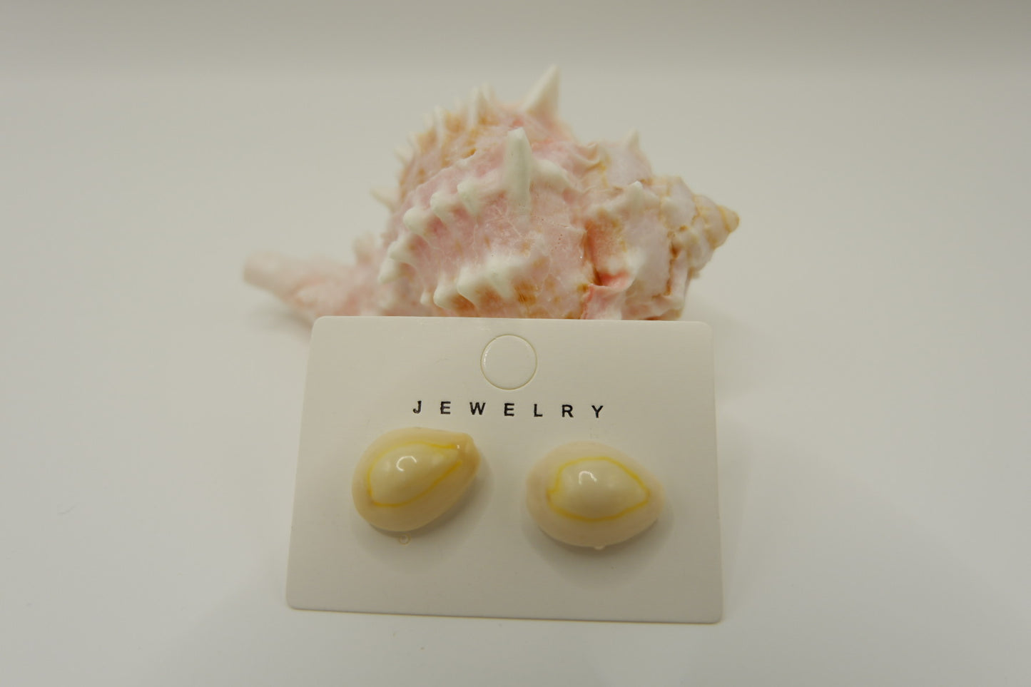 Conch Shell Stud Earrings