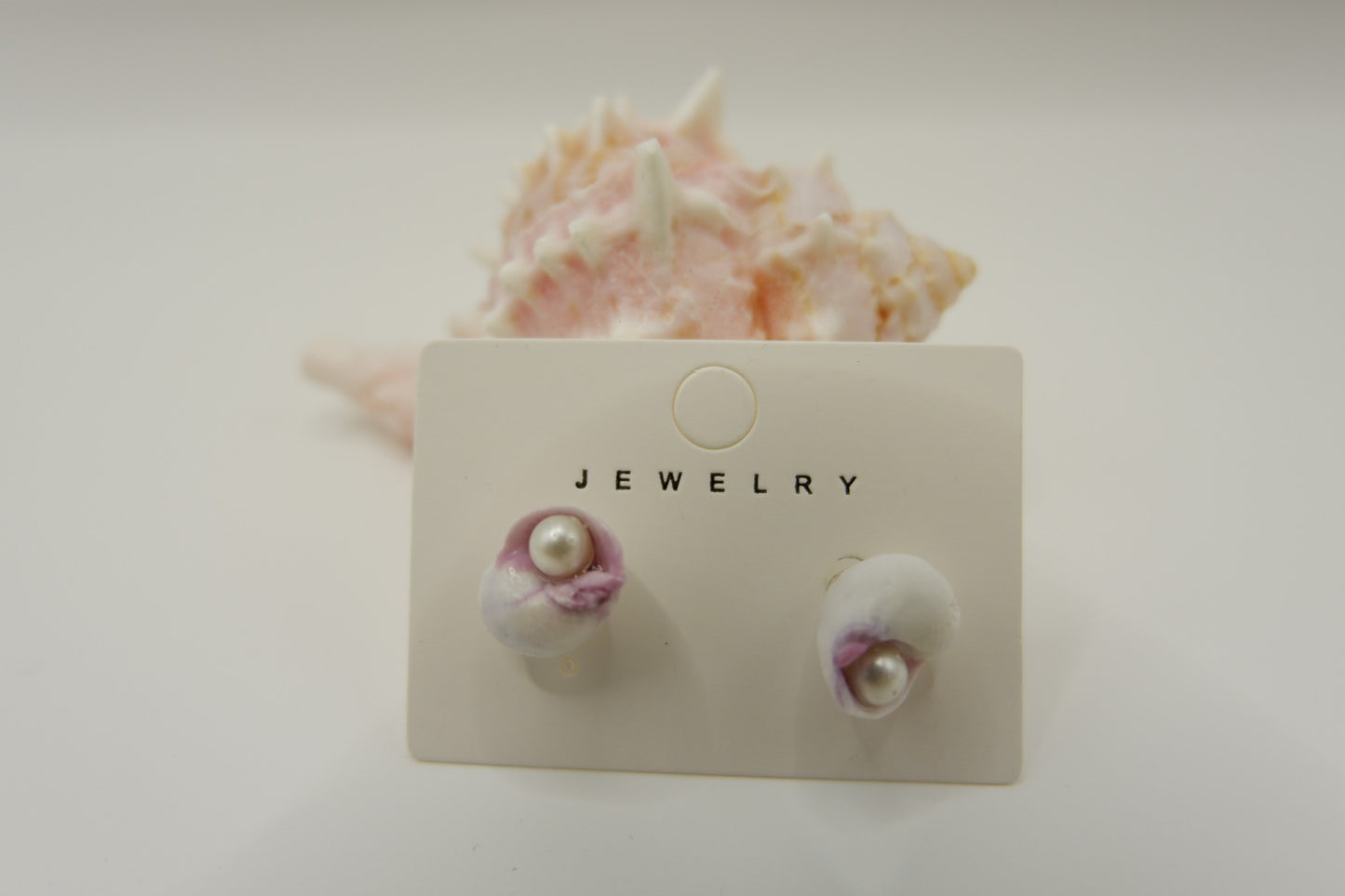 Conch Shell Stud Earrings