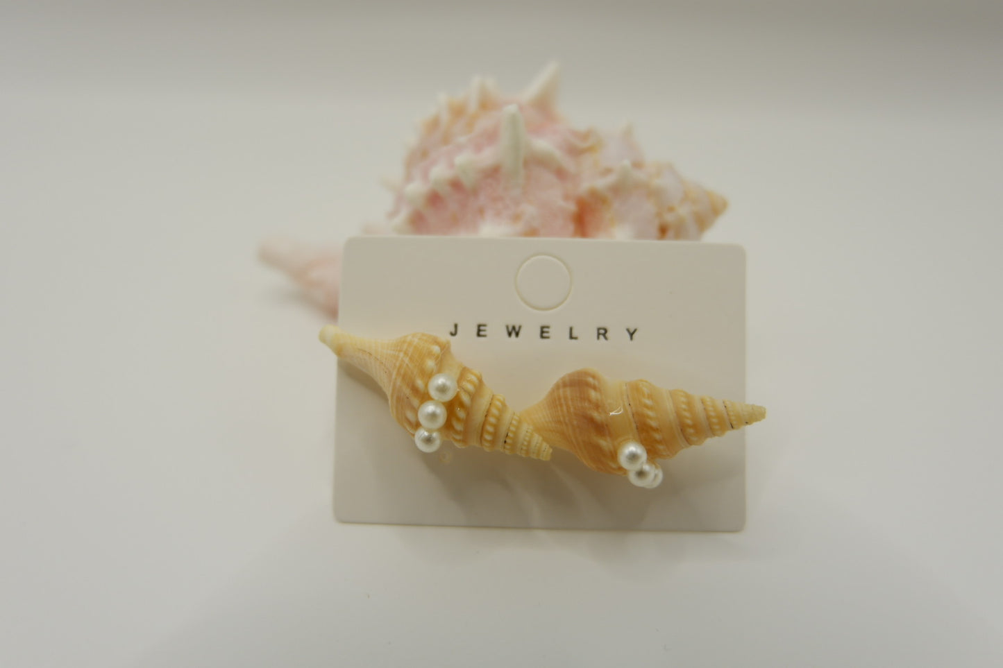 Conch Shell Stud Earrings