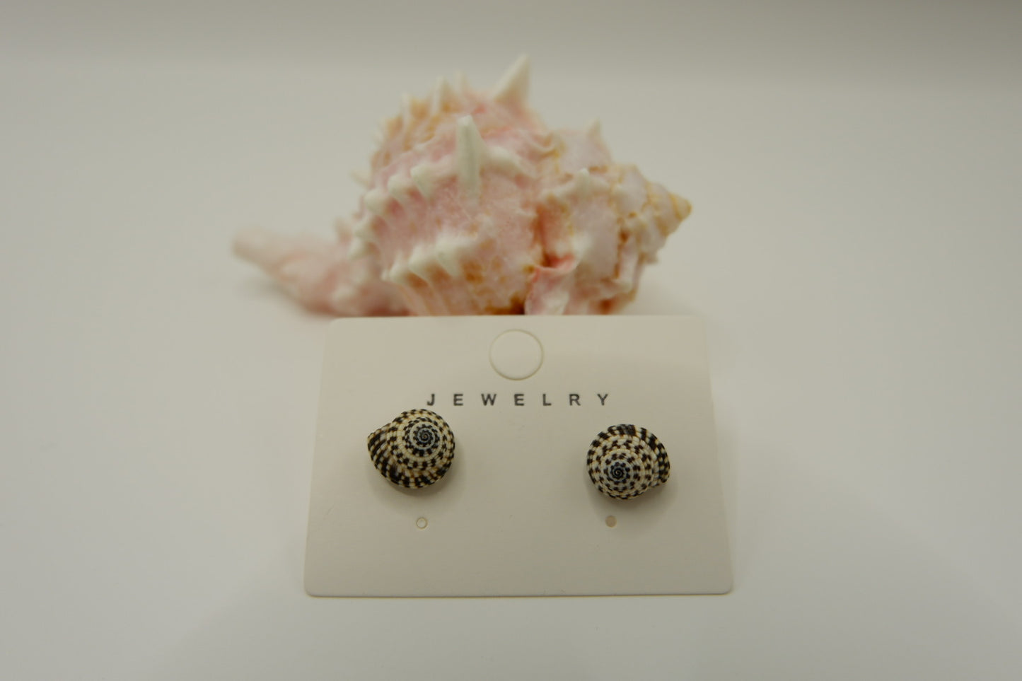 Conch Shell Stud Earrings