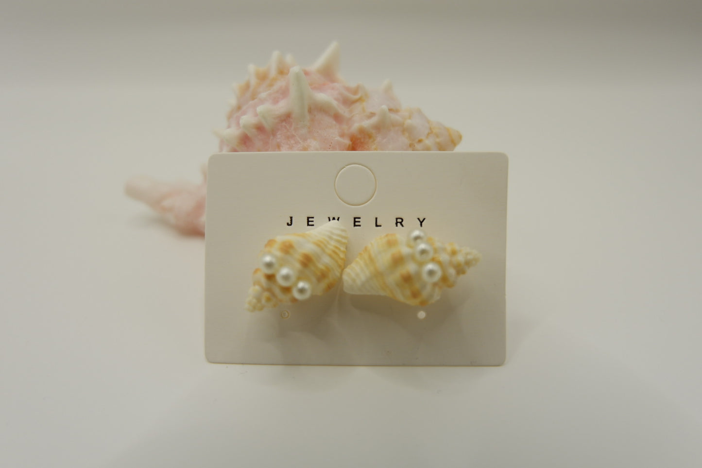 Conch Shell Stud Earrings