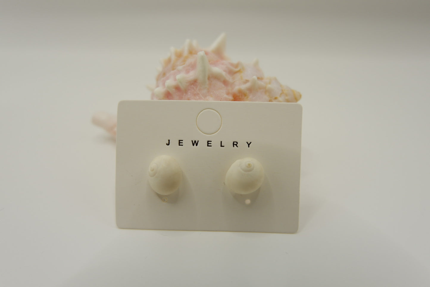 Conch Shell Stud Earrings