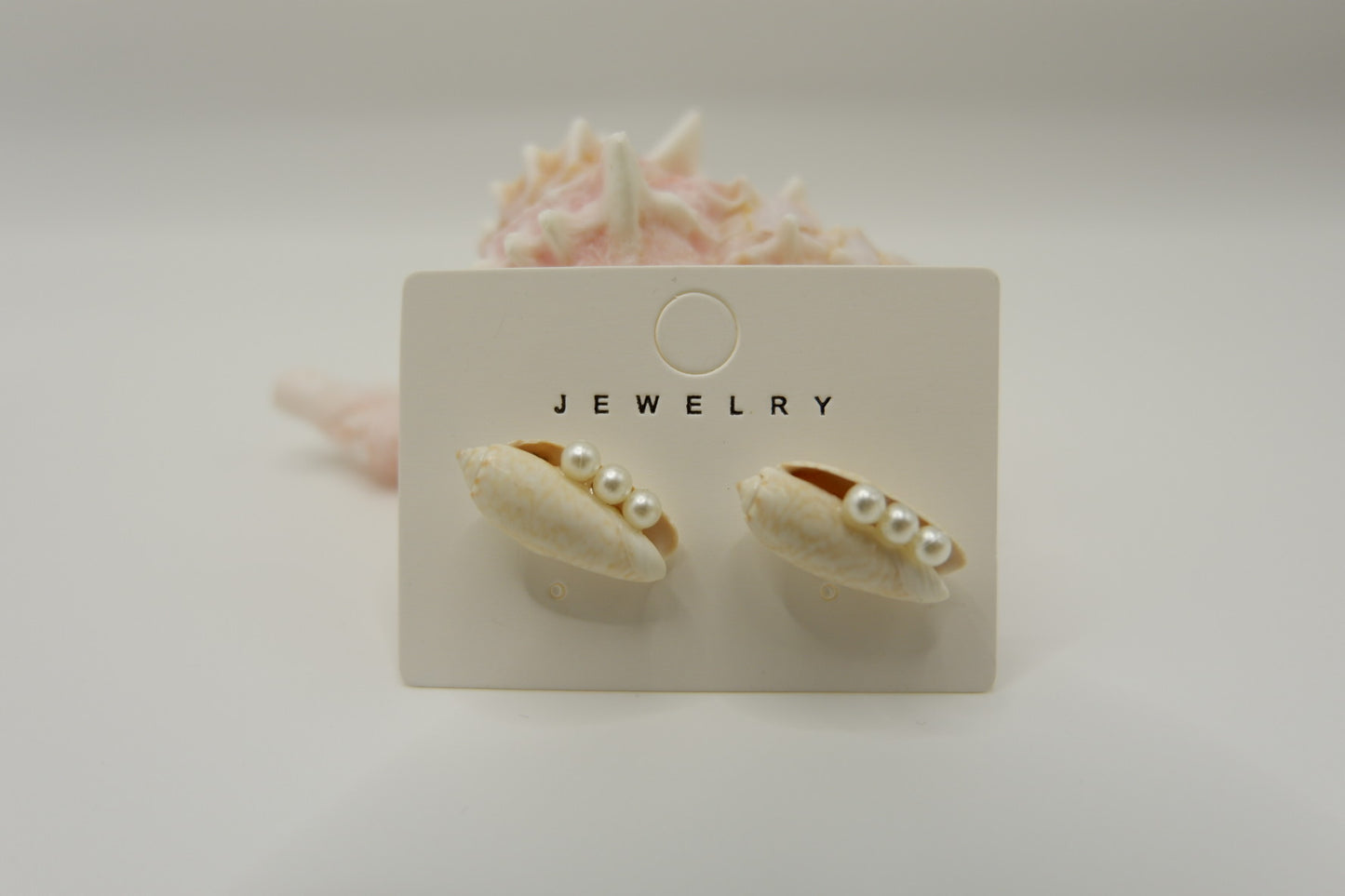 Conch Shell Stud Earrings