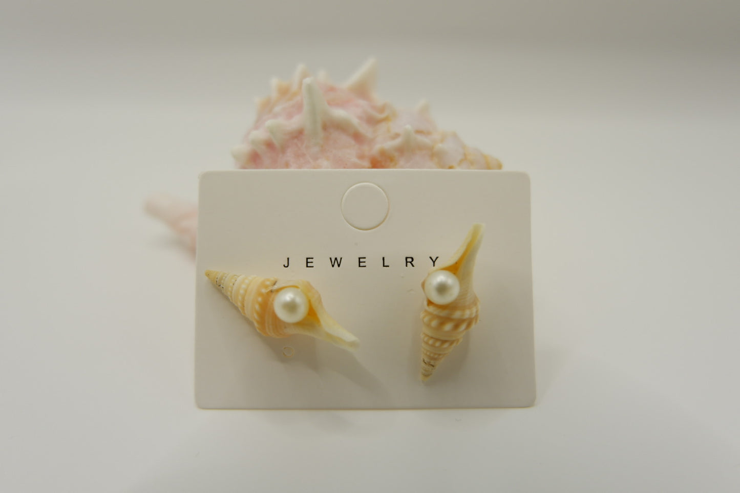 Conch Shell Stud Earrings