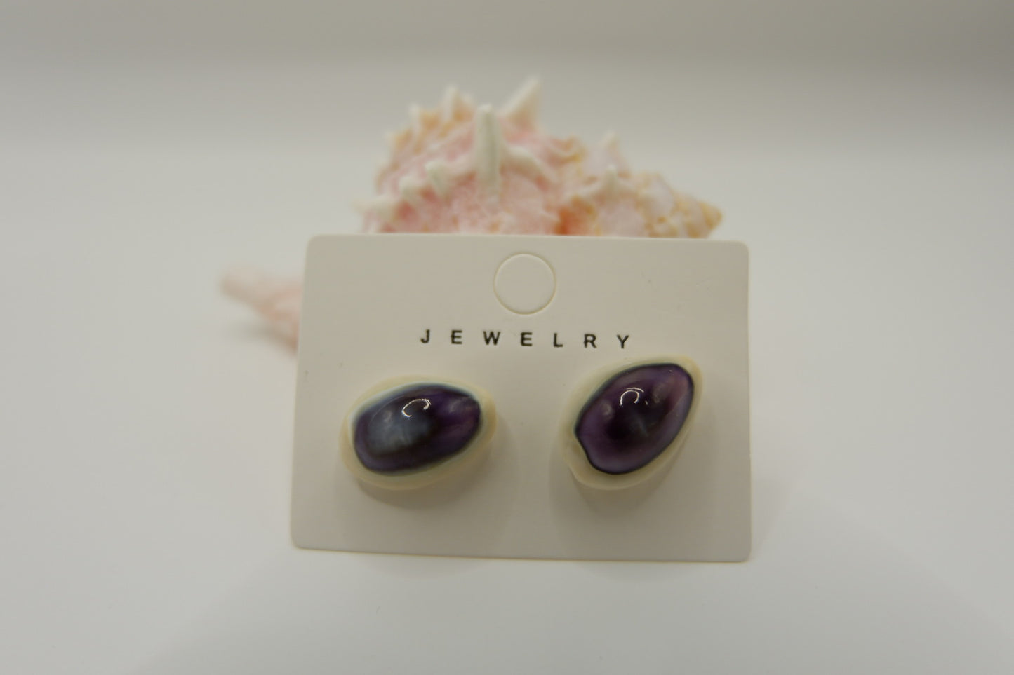 Conch Shell Stud Earrings