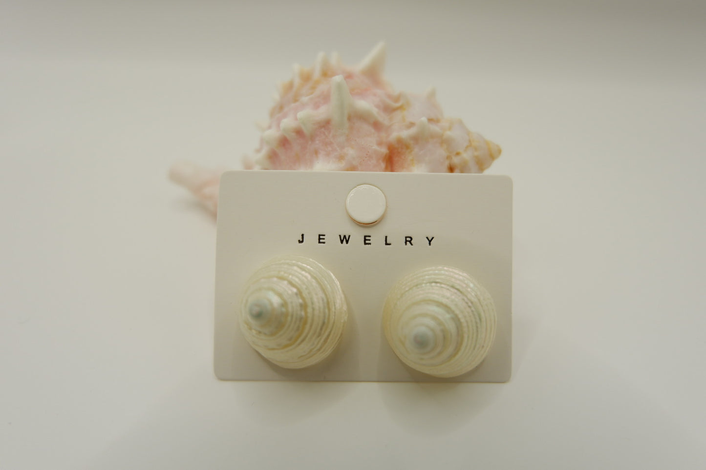 Conch Shell Stud Earrings
