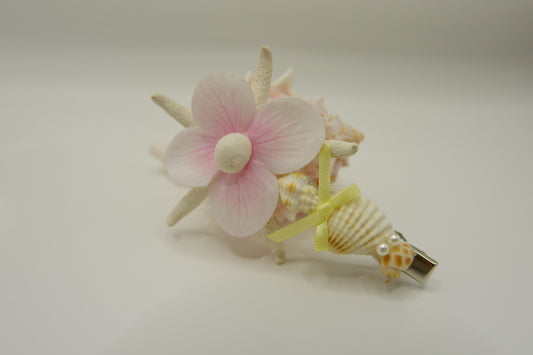Shell & Conch Hair Clips