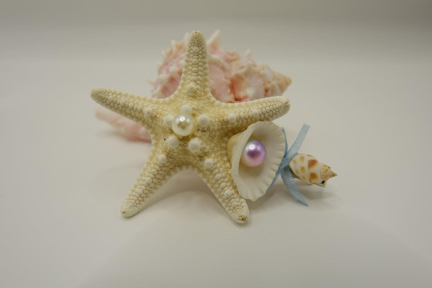 Shell & Conch Hair Clips