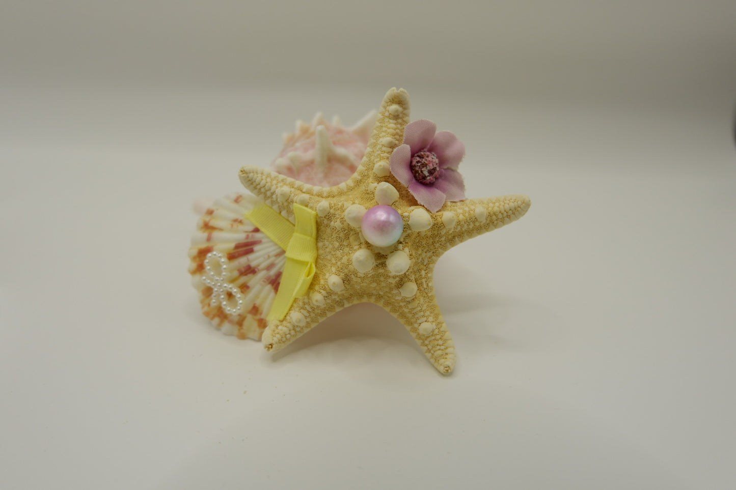 Shell & Conch Hair Clips