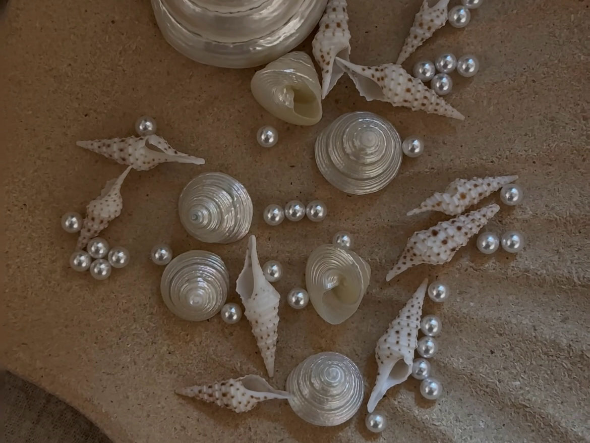 Conch Ring