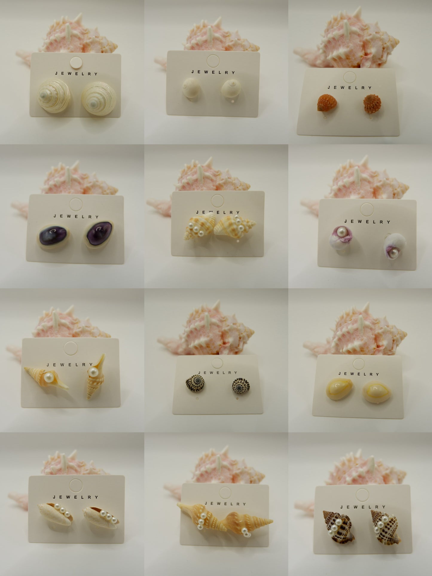 Conch Shell Stud Earrings
